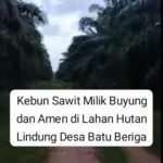 Kawasan Hutan Lindung