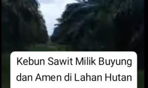 Kawasan Hutan Lindung