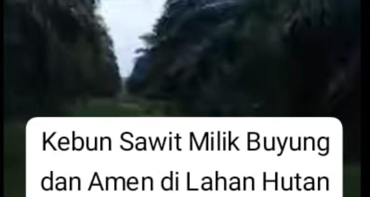 Kawasan Hutan Lindung