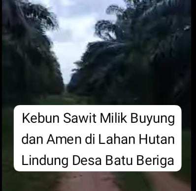 Kawasan Hutan Lindung