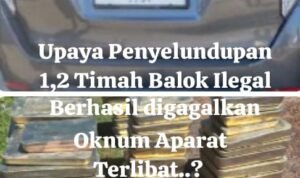 Satlap Tricakti dan Intelrem