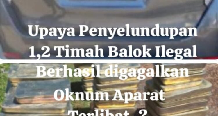 Satlap Tricakti dan Intelrem