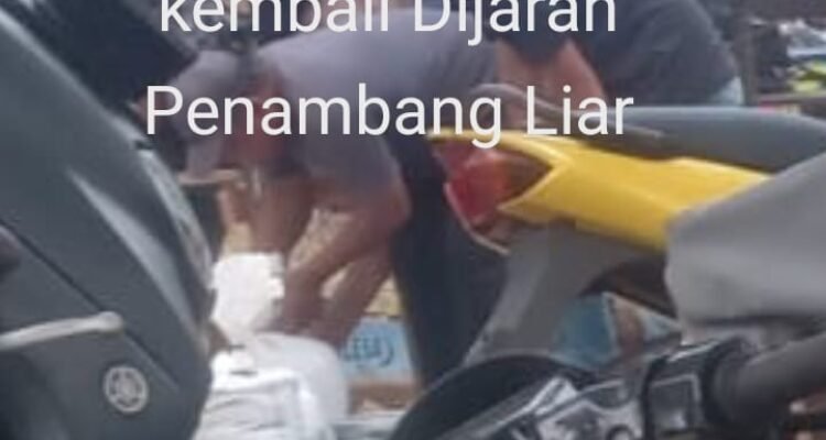 Kampak